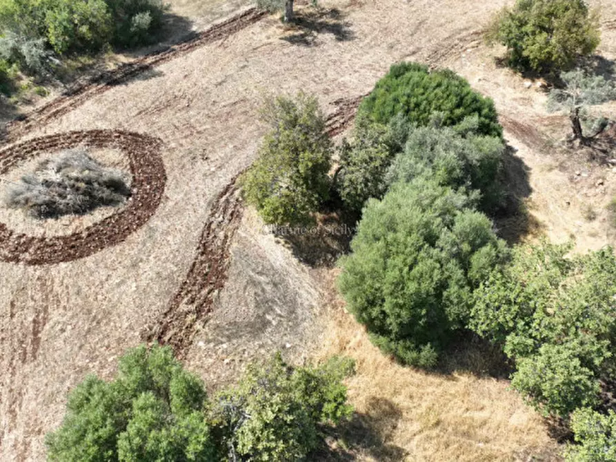 Immagine 18 di Terreno in vendita  in Contrada scorrione a Modica