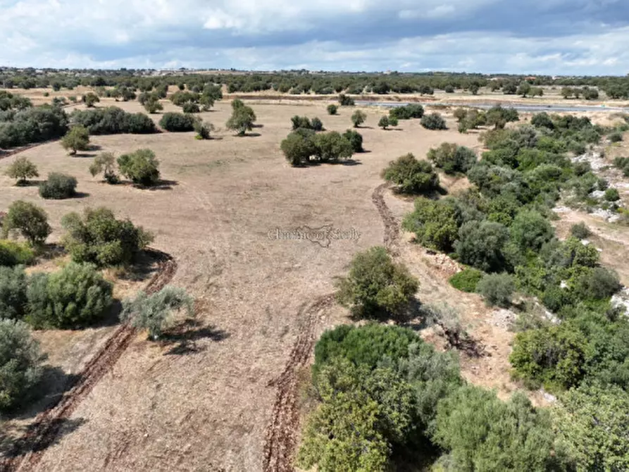 Immagine 21 di Terreno in vendita  in Contrada scorrione a Modica