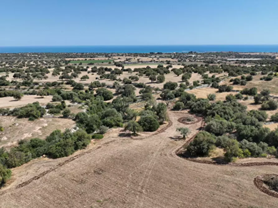 Immagine 30 di Terreno in vendita  in Contrada scorrione a Modica