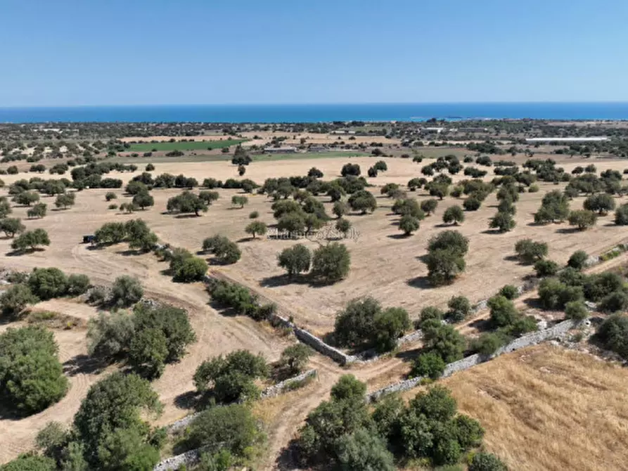 Immagine 31 di Terreno in vendita  in Contrada scorrione a Modica