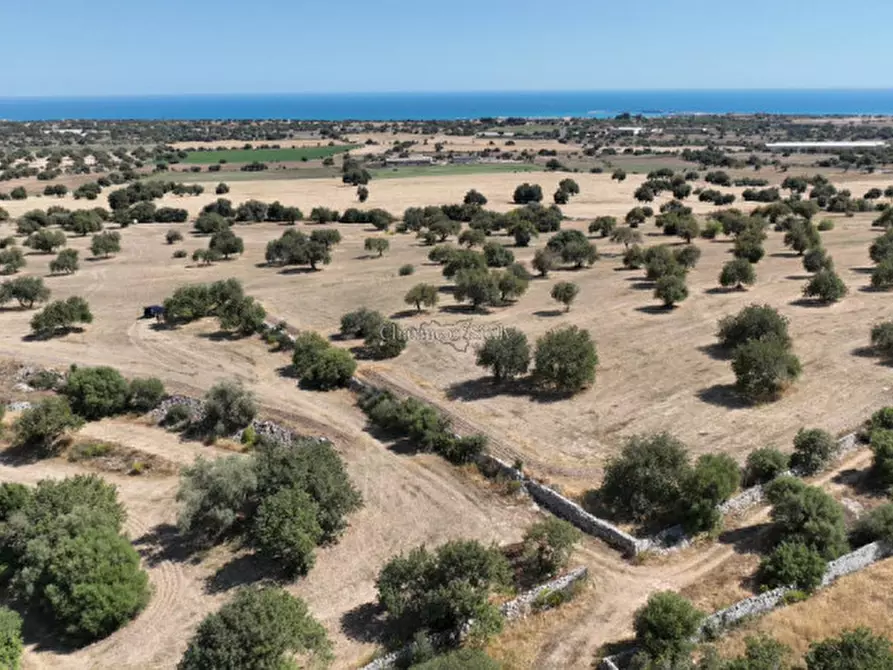 Immagine 32 di Terreno in vendita  in Contrada scorrione a Modica