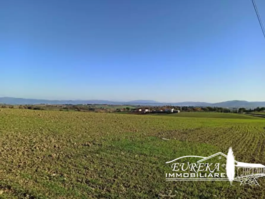 Immagine 10 di Rustico / casale in vendita  a Castiglione Del Lago