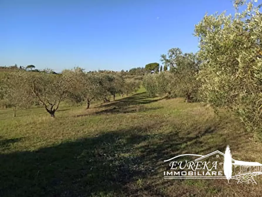 Immagine 11 di Rustico / casale in vendita  a Castiglione Del Lago