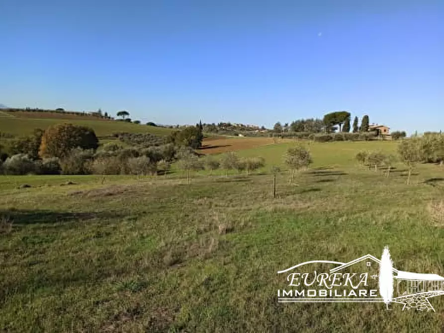 Immagine 12 di Rustico / casale in vendita  a Castiglione Del Lago