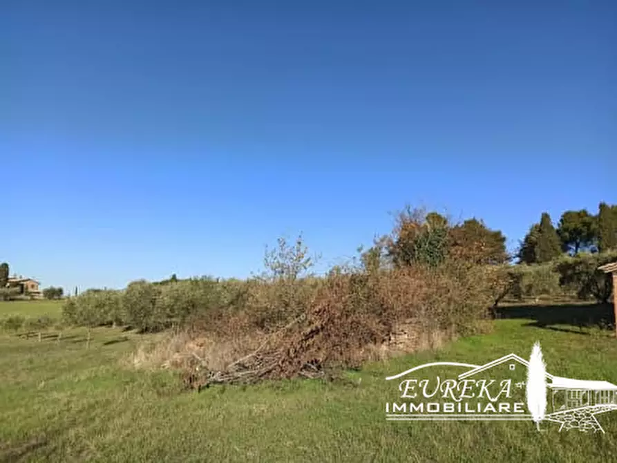 Immagine 14 di Rustico / casale in vendita  a Castiglione Del Lago