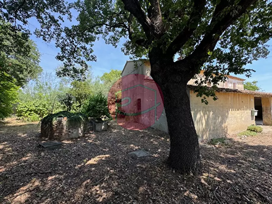 Immagine 7 di Rustico / casale in vendita  a Santarcangelo Di Romagna