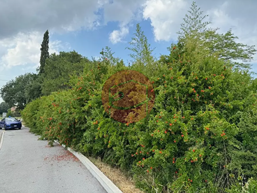 Immagine 19 di Rustico / casale in vendita  a Santarcangelo Di Romagna