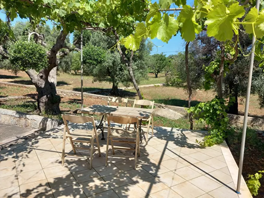 Immagine 33 di Villa in vendita  in C.da Lamia la Chiesa a Ostuni