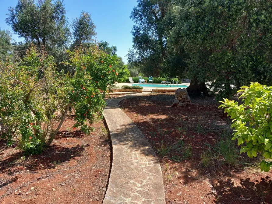 Immagine 36 di Villa in vendita  in C.da Lamia la Chiesa a Ostuni