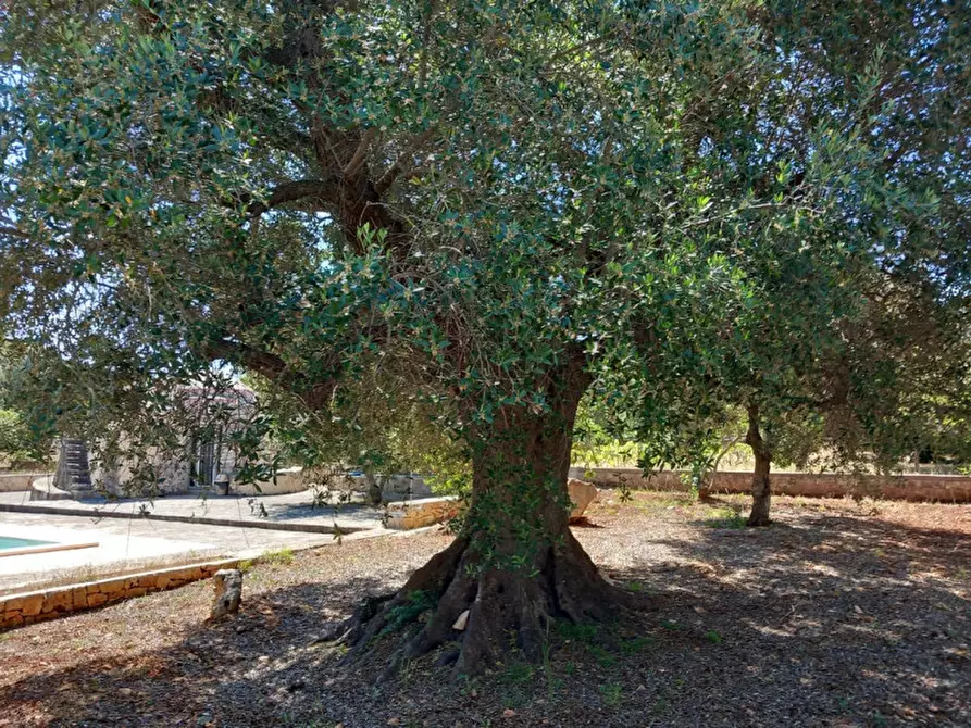 Immagine 37 di Villa in vendita  in C.da Lamia la Chiesa a Ostuni
