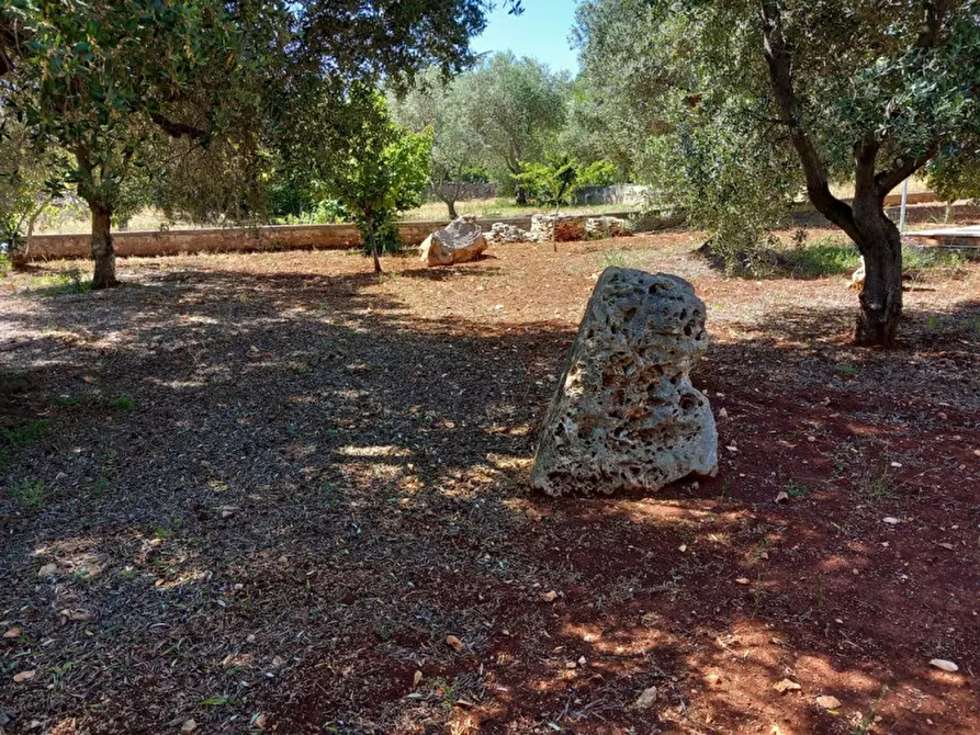 Immagine 38 di Villa in vendita  in C.da Lamia la Chiesa a Ostuni