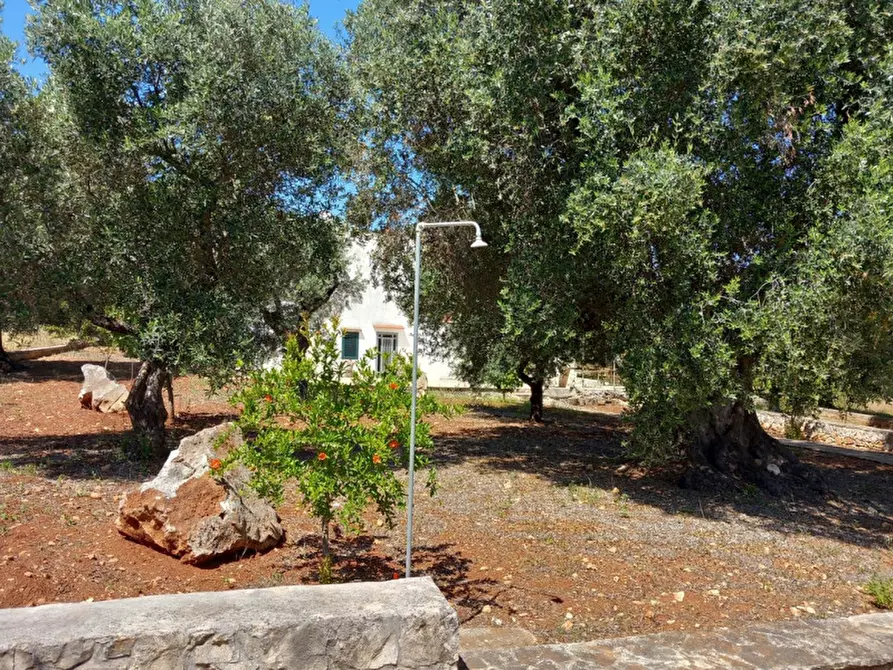 Immagine 48 di Villa in vendita  in C.da Lamia la Chiesa a Ostuni