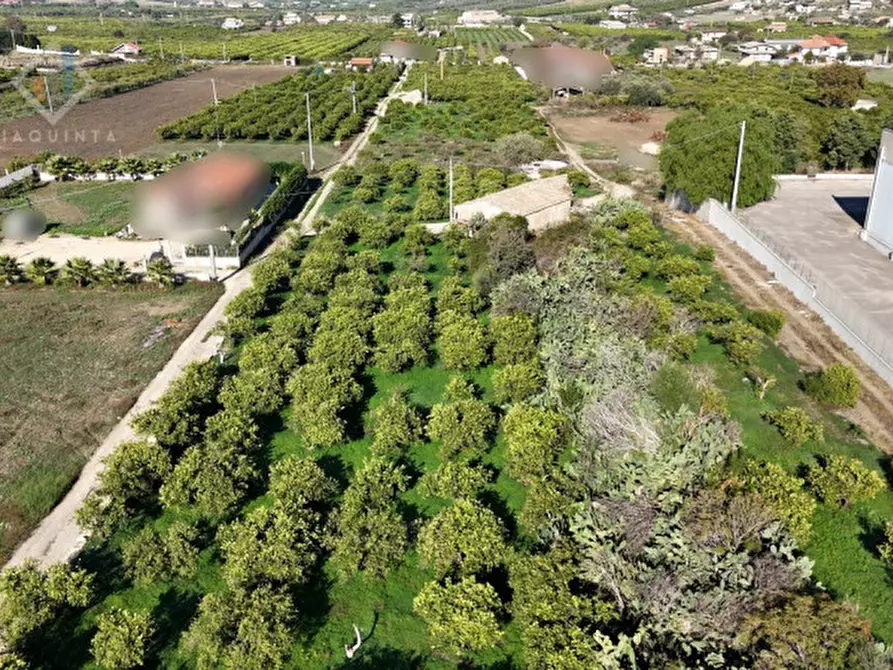 Immagine 2 di Terreno in vendita  in Contrada Santuzza snc a Palagonia