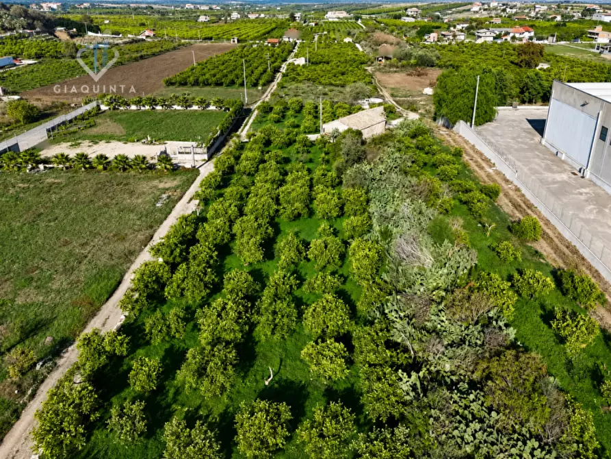 Immagine 2 di Terreno in vendita  in Contrada Santuzza snc a Palagonia