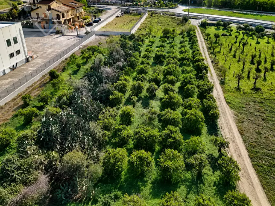 Immagine 3 di Terreno in vendita  in Contrada Santuzza snc a Palagonia