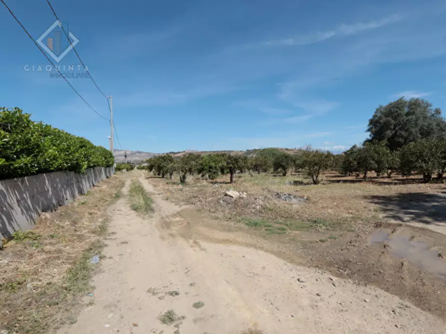 Immagine 4 di Terreno in vendita  in Contrada Santuzza snc a Palagonia