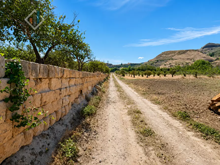 Immagine 4 di Terreno in vendita  in Contrada Santuzza snc a Palagonia