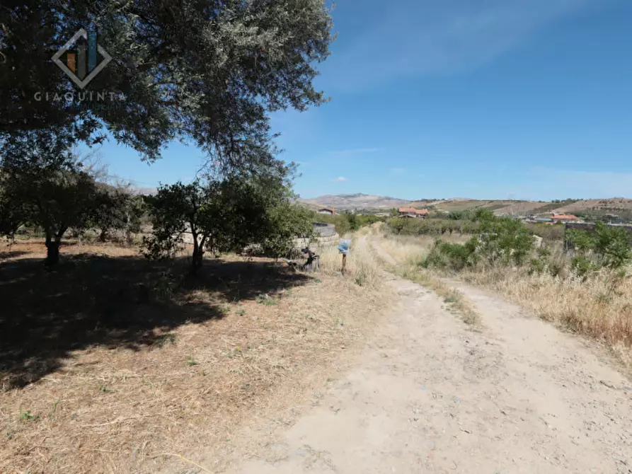 Immagine 5 di Terreno in vendita  in Contrada Santuzza snc a Palagonia