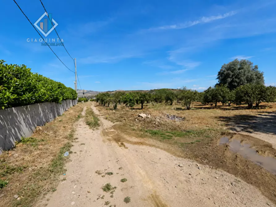 Immagine 5 di Terreno in vendita  in Contrada Santuzza snc a Palagonia
