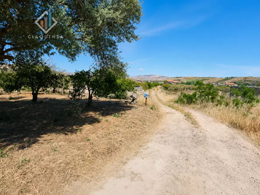 Immagine 6 di Terreno in vendita  in Contrada Santuzza snc a Palagonia