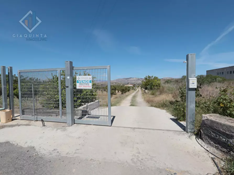 Immagine 7 di Terreno in vendita  in Contrada Santuzza snc a Palagonia