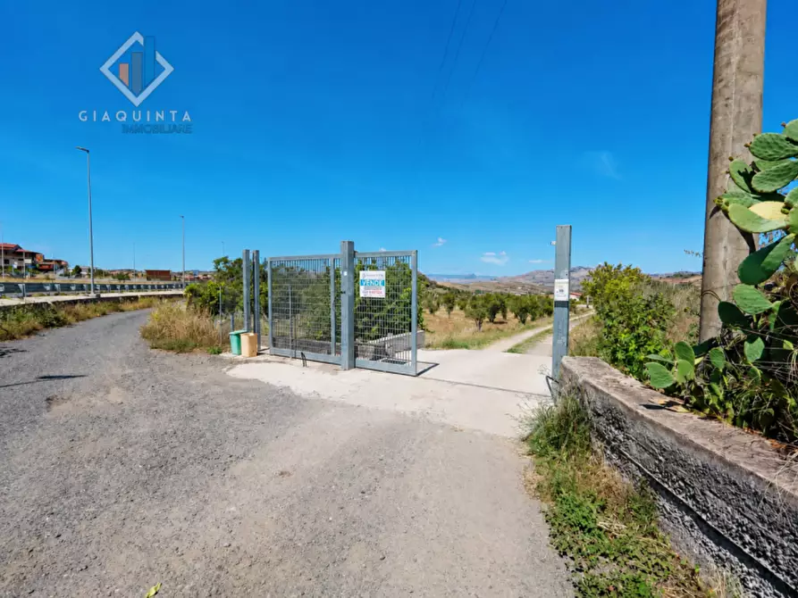 Immagine 7 di Terreno in vendita  in Contrada Santuzza snc a Palagonia