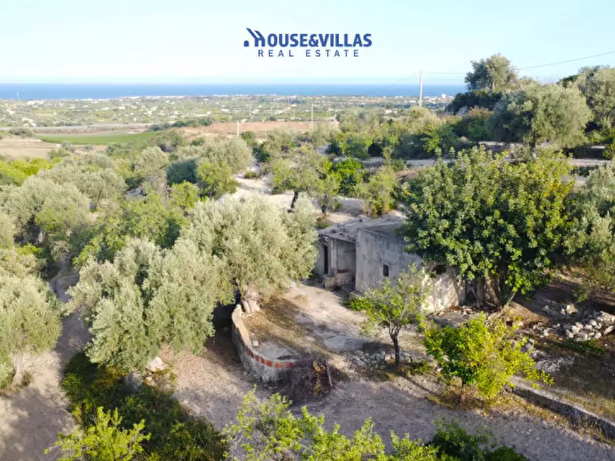 Immagine 4 di Rustico / casale in vendita  in mammanelli a Avola