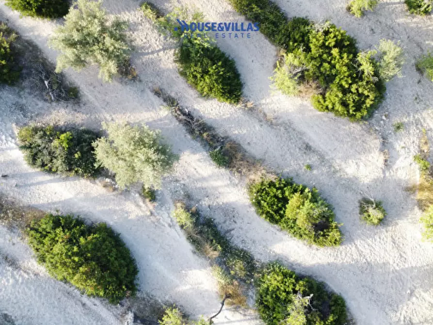 Immagine 7 di Rustico / casale in vendita  in mammanelli a Avola