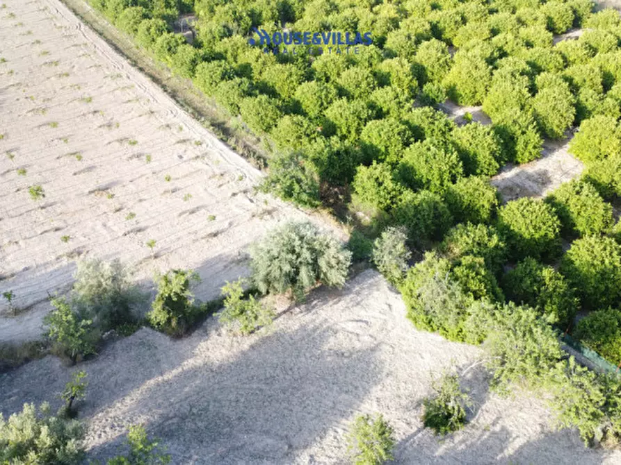Immagine 9 di Rustico / casale in vendita  in mammanelli a Avola