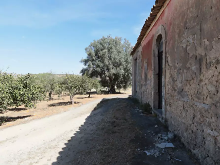 Immagine 6 di Terreno in vendita  in Contrada Santuzza snc a Palagonia