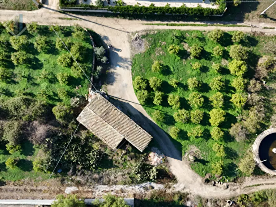 Immagine 14 di Terreno in vendita  in Contrada Santuzza snc a Palagonia