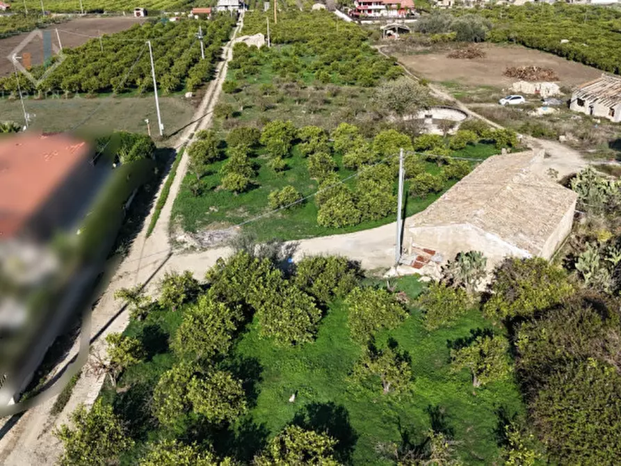 Immagine 16 di Terreno in vendita  in Contrada Santuzza snc a Palagonia