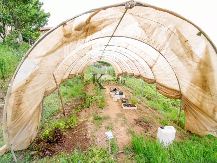 Immagine 50 di Rustico / casale in vendita  in via vittorio emanuele II  28 a Foglizzo