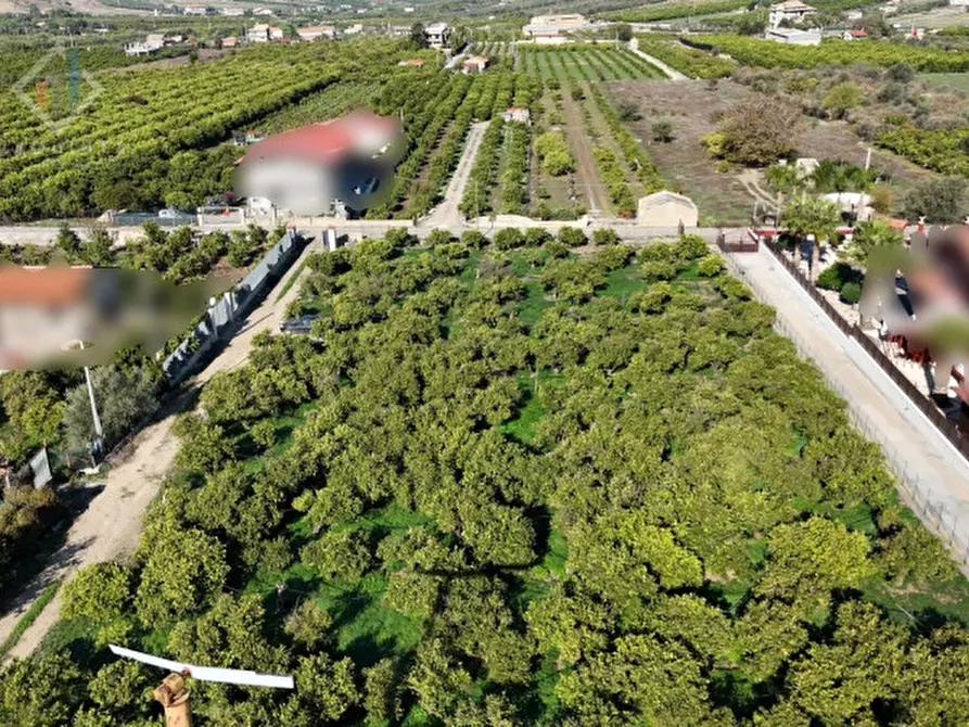 Immagine 2 di Terreno in vendita  in Contrada Santuzza snc a Palagonia