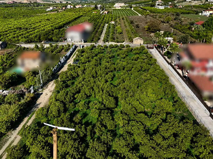 Immagine 2 di Terreno in vendita  in Contrada Santuzza snc a Palagonia