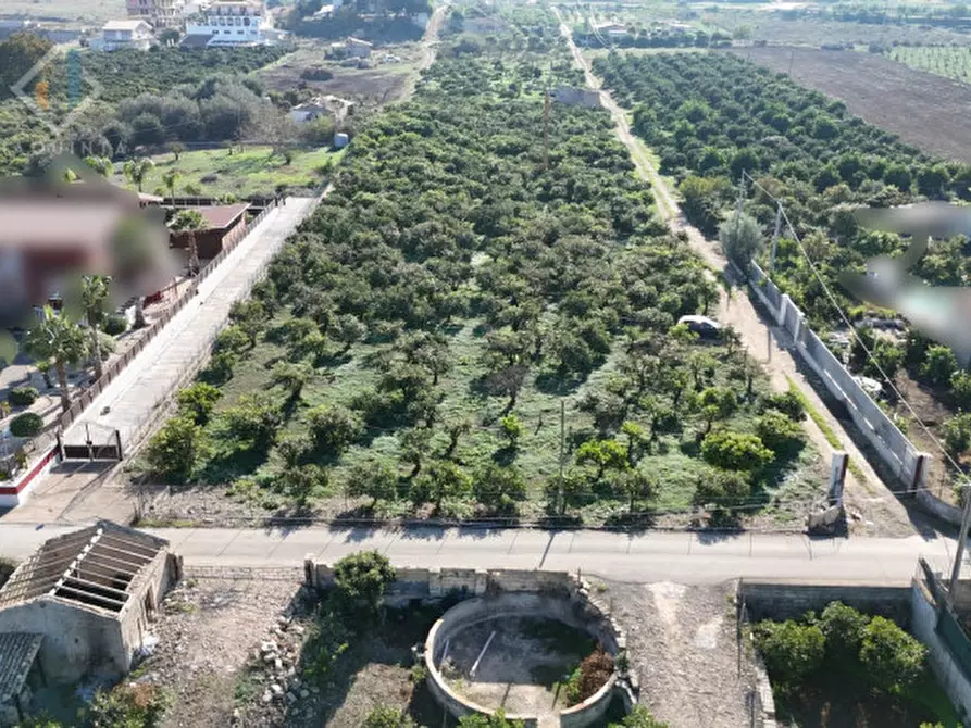 Immagine 3 di Terreno in vendita  in Contrada Santuzza snc a Palagonia