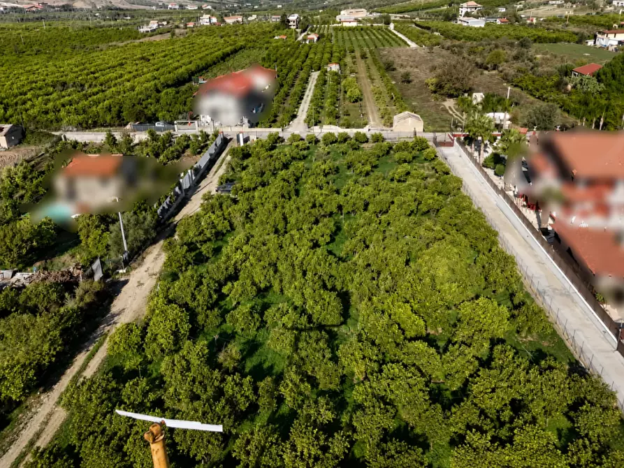Immagine 3 di Terreno in vendita  in Contrada Santuzza snc a Palagonia