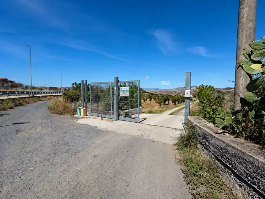 Immagine 4 di Terreno in vendita  in Contrada Santuzza snc a Palagonia