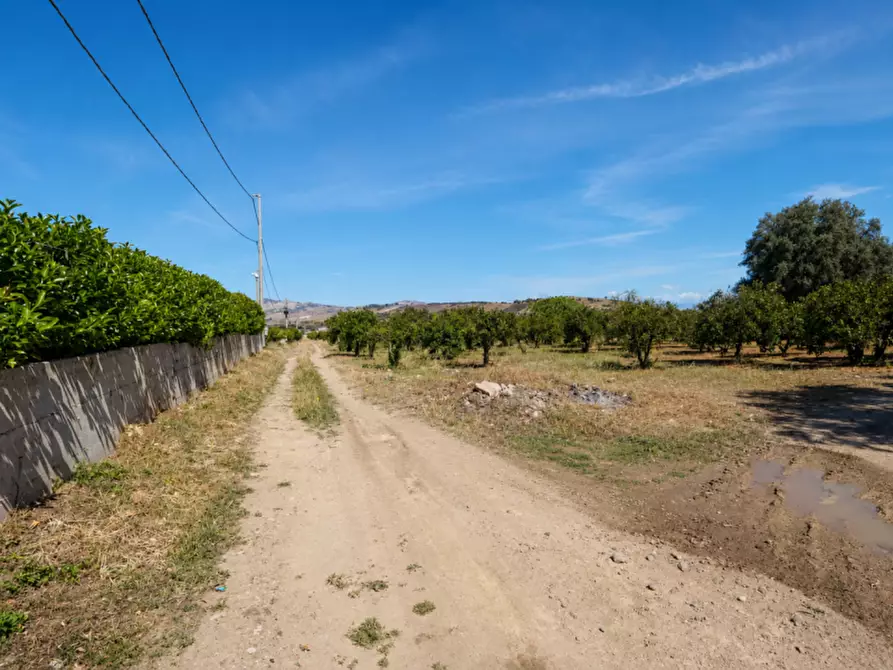 Immagine 6 di Terreno in vendita  in Contrada Santuzza snc a Palagonia