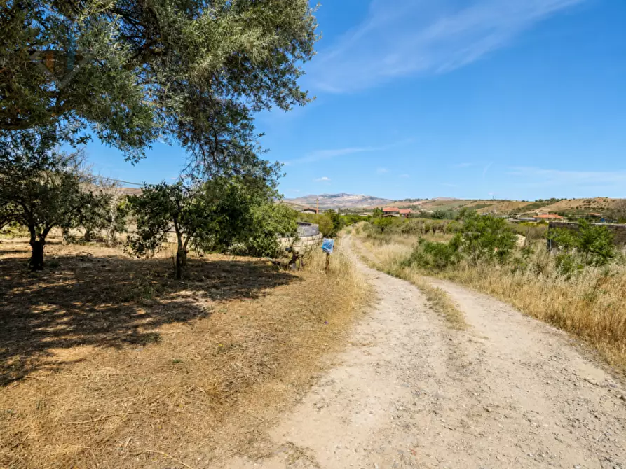 Immagine 7 di Terreno in vendita  in Contrada Santuzza snc a Palagonia