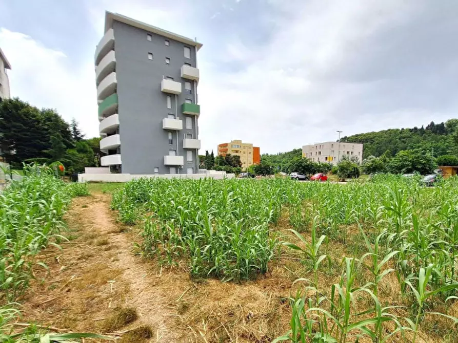 Immagine 2 di Terreno in vendita  in Località Vismara - Cattabrighe, N. Snc a Pesaro