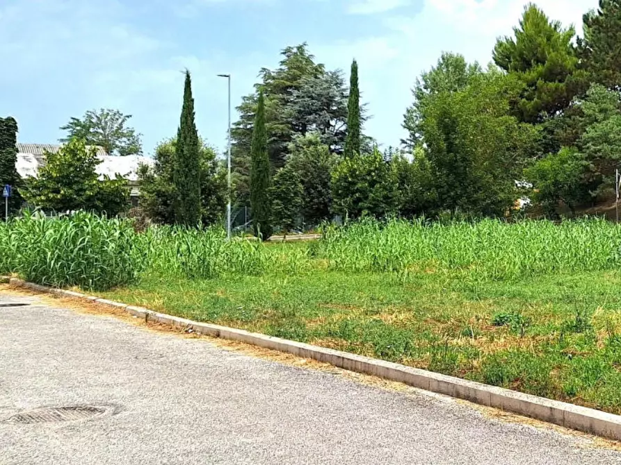 Immagine 3 di Terreno in vendita  in Località Vismara - Cattabrighe, N. Snc a Pesaro