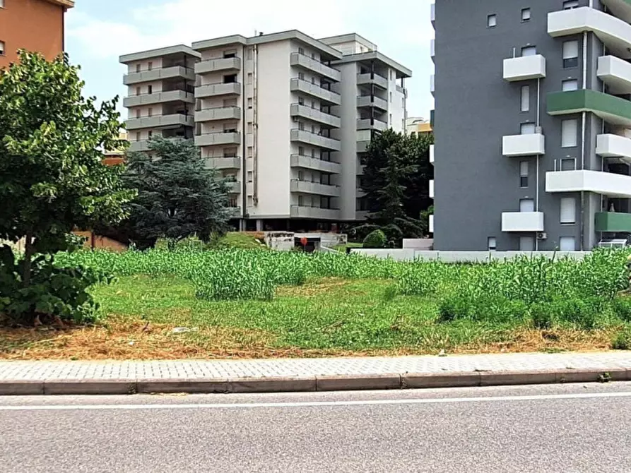 Immagine 4 di Terreno in vendita  in Località Vismara - Cattabrighe, N. Snc a Pesaro