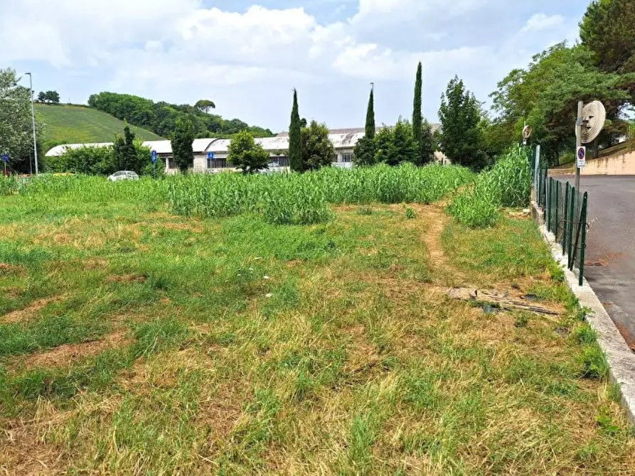 Immagine 5 di Terreno in vendita  in Località Vismara - Cattabrighe, N. Snc a Pesaro