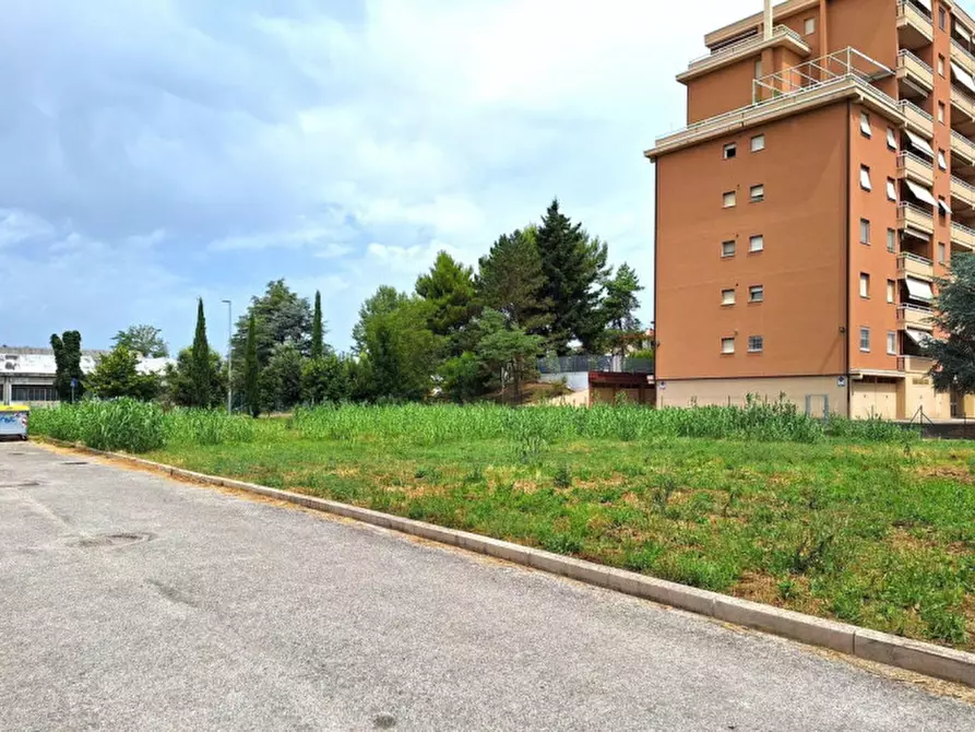 Immagine 6 di Terreno in vendita  in Località Vismara - Cattabrighe, N. Snc a Pesaro