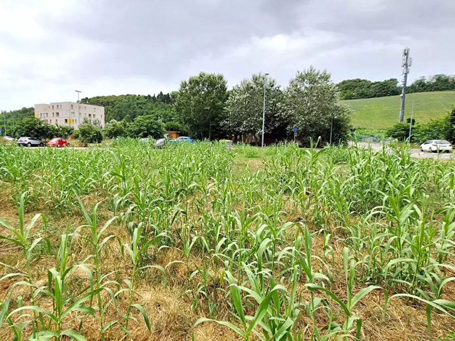 Immagine 9 di Terreno in vendita  in Località Vismara - Cattabrighe, N. Snc a Pesaro
