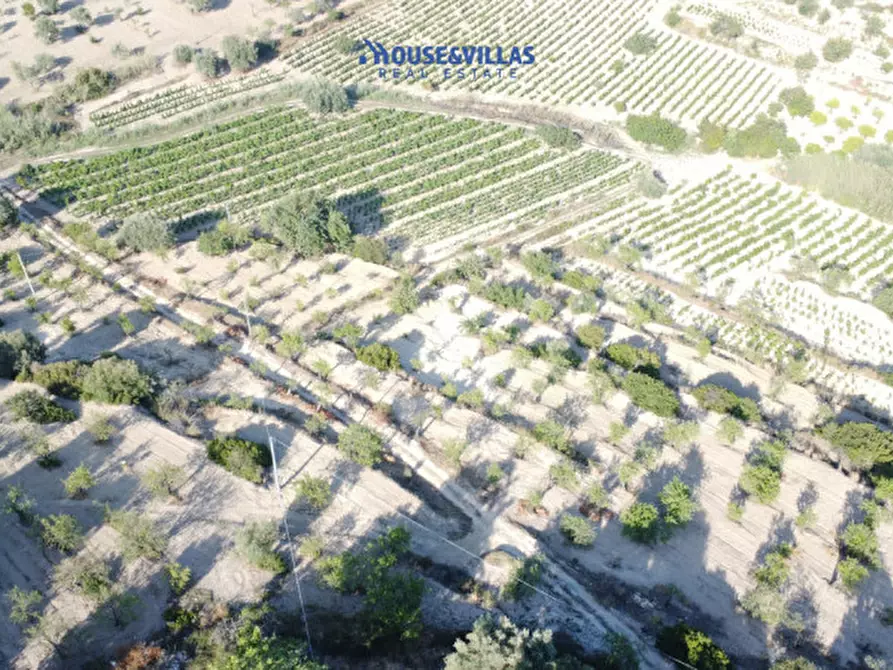 Immagine 14 di Rustico / casale in vendita  in bochini a Noto