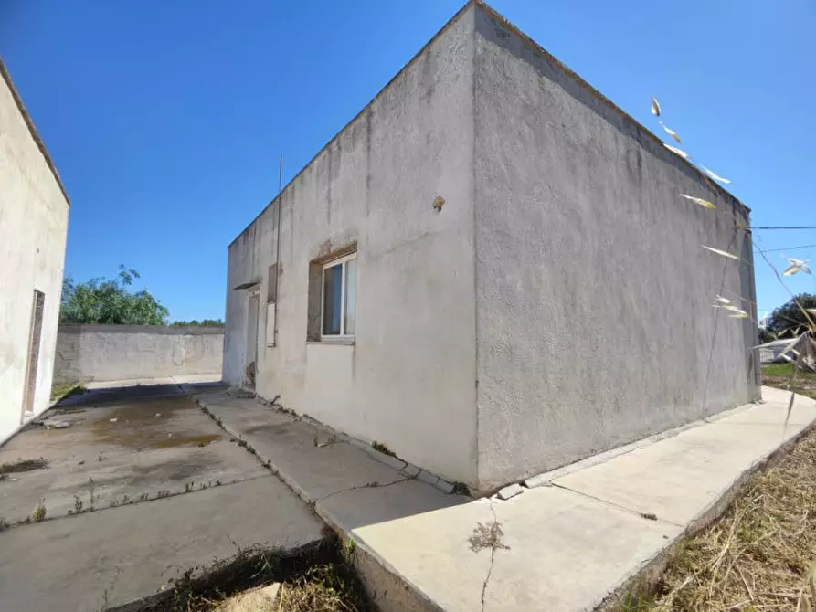 Immagine 4 di Villa in vendita  in Via Camere a Matino