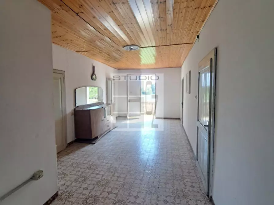 Immagine 6 di Casa trifamiliare in vendita  in via Russia a San Giorgio Delle Pertiche