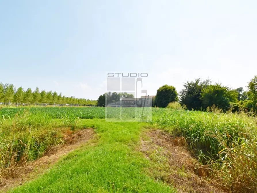 Immagine 13 di Casa trifamiliare in vendita  in via Russia a San Giorgio Delle Pertiche